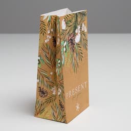 Пакет подарочный без ручек новогодний Present for you, 10×19×7 см