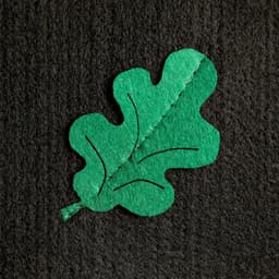 Набор для бани с аппликацией «Дубовый лист», 3 предмета: шапка, коврик, рукавица, войлок, тёмный