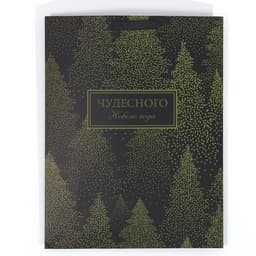 Пакет подарочный новогодний ламинированный «Чудесного Нового года», L 31×40×11.5 см