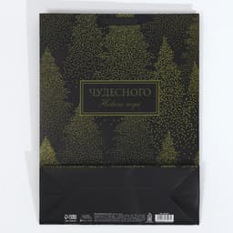 Пакет подарочный новогодний ламинированный «Чудесного Нового года», L 31×40×11.5 см