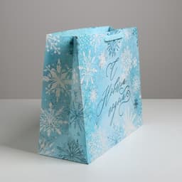 Пакет подарочный новогодний ламинированный «Морозный день», XL 49×40×19 см