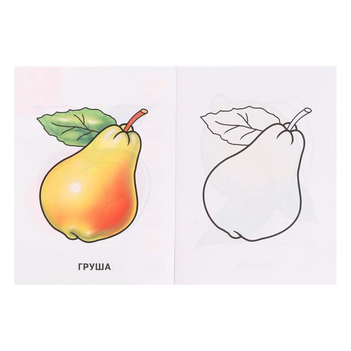 Раскраска для малышей «Фрукты»
