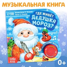Книга музыкальная «Дом Дедушки Мороза», 10 стр.