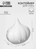 Контейнер для хранения чеснока Альтернатива, 9×8.3×6.2 см, пластик, прозрачный