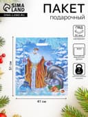 Пакет подарочный новогодний «Дед Мороз и Снегурочка», полиэтиленовый с вырубной ручкой, 41×51 см