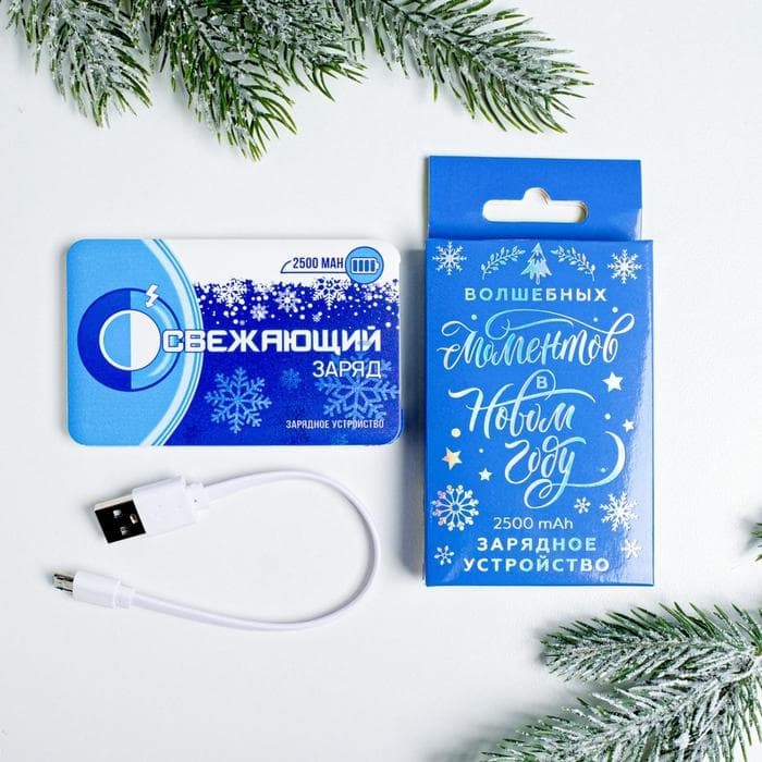 Зарядное устройство «Освежающий заряд», 2500 mAh