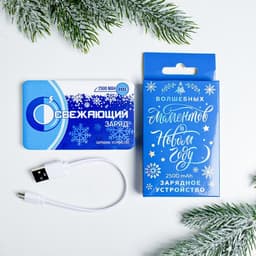 Зарядное устройство «Освежающий заряд», 2500 mAh