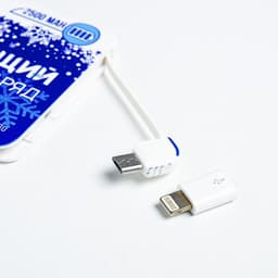 Зарядное устройство «Освежающий заряд», 2500 mAh