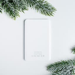 Зарядное устройство «Освежающий заряд», 2500 mAh