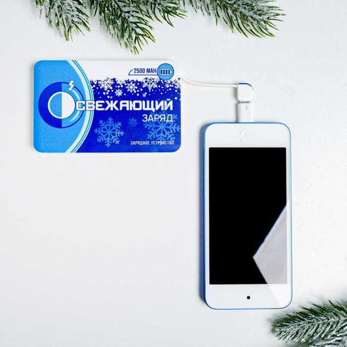 Зарядное устройство «Освежающий заряд», 2500 mAh