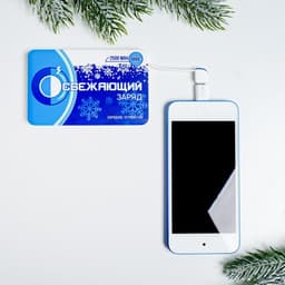 Зарядное устройство «Освежающий заряд», 2500 mAh