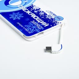 Зарядное устройство «Освежающий заряд», 2500 mAh