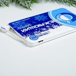 Зарядное устройство «Освежающий заряд», 2500 mAh