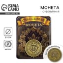 Монета выбора сувенир «Да - Нет», d=2.5 см