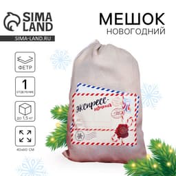 Мешок новогодний Деда Мороза «Экспресс-почта» холщовый, 40×60 см