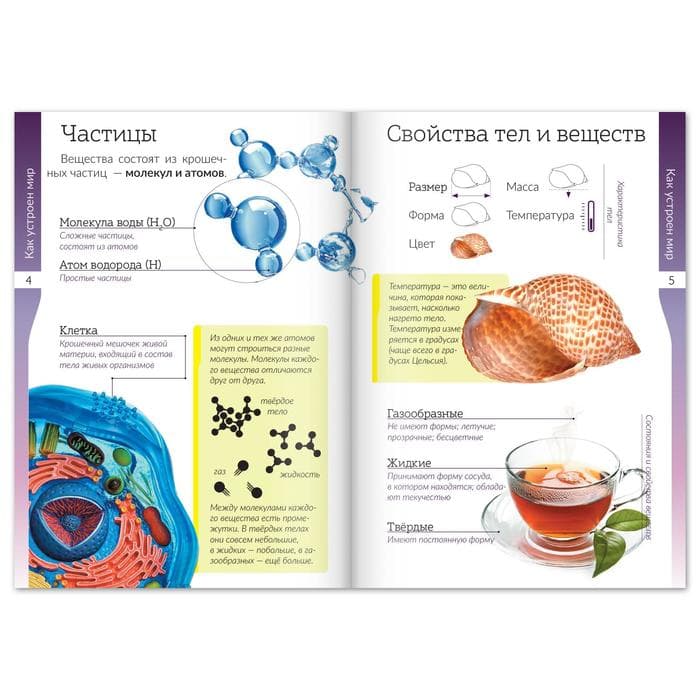 Книжки - шпаргалки «Мир природы и человека», набор 6 шт.