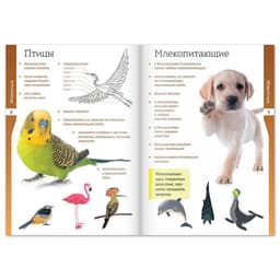 Книжки - шпаргалки «Мир природы и человека», набор 6 шт.