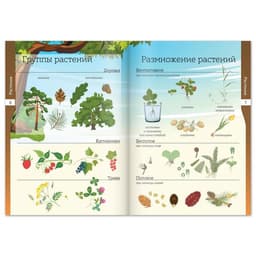 Книжки - шпаргалки «Мир природы и человека», набор 6 шт.