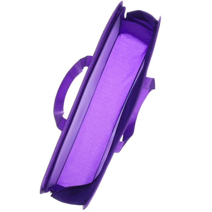 Папка пластиковая с ручками А4, на молнии, 7.5×33×26 см, «Холодное сердце»