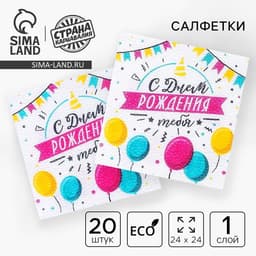 Салфетки бумажные «С днём рождения тебя», однослойные, 24×24 см, набор 20 шт.