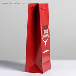 Пакет подарочный ламинированный под бутылку, упаковка, «Спасибо за повод», 13×35×10 см
