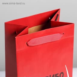 Пакет подарочный ламинированный под бутылку, упаковка, «Спасибо за повод», 13×35×10 см
