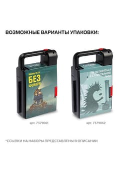 Набор инструментов ТУНДРА, подарочный пластиковый кейс «Фонарь», 21 предмет