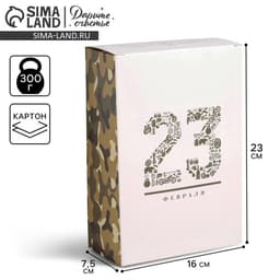 Коробка подарочная складная, упаковка, «23 февраля», 16×23×7.5 см