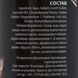 Шампунь-кондиционер «Пижон Premium», 250 мл, для кошек и собак, с маслом чайного дерева и мяты
