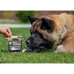 БИО капли от паразитов для животных «Пижон Premium», для щенков и собак крупных пород, 25-40 кг, 2×2 мл