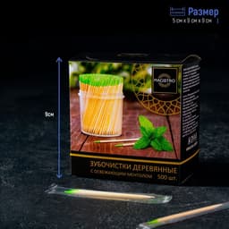 Зубочистки из берёзы Magistro, 500 шт., ментоловые, в индивидуальной упаковке, картонная коробка
