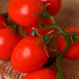 Муляж «Помидоры на ветке», 3.5×16.5 см, на ветке 16 шт., МИКС