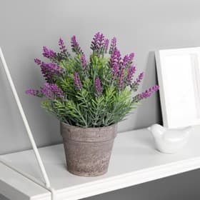 Искусственный цветок в горшке «Сантолина», 10×22 см, МИКС