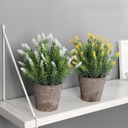 Искусственный цветок в горшке «Сантолина», 10×22 см, МИКС