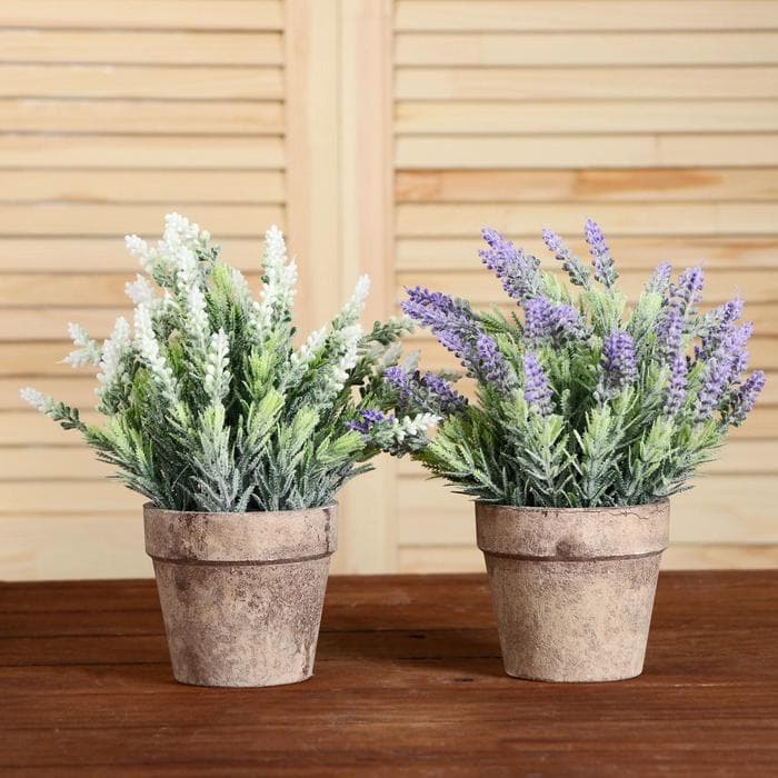 Искусственный цветок в горшке «Сантолина», 10×22 см, МИКС