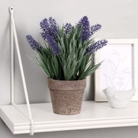 Искусственный цветок в горшке «Мускари», 10×22 см, МИКС