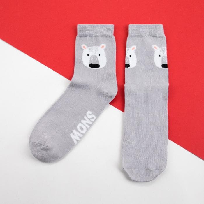 Носки женские новогодние KAFTAN Snow, набор 2 пары, размер 36-40 (23-25 см)