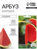 Семена Арбуз «Холодок», 10 шт., «Агрэкс»