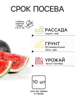 Семена Арбуз «Холодок», 10 шт., «Агрэкс»
