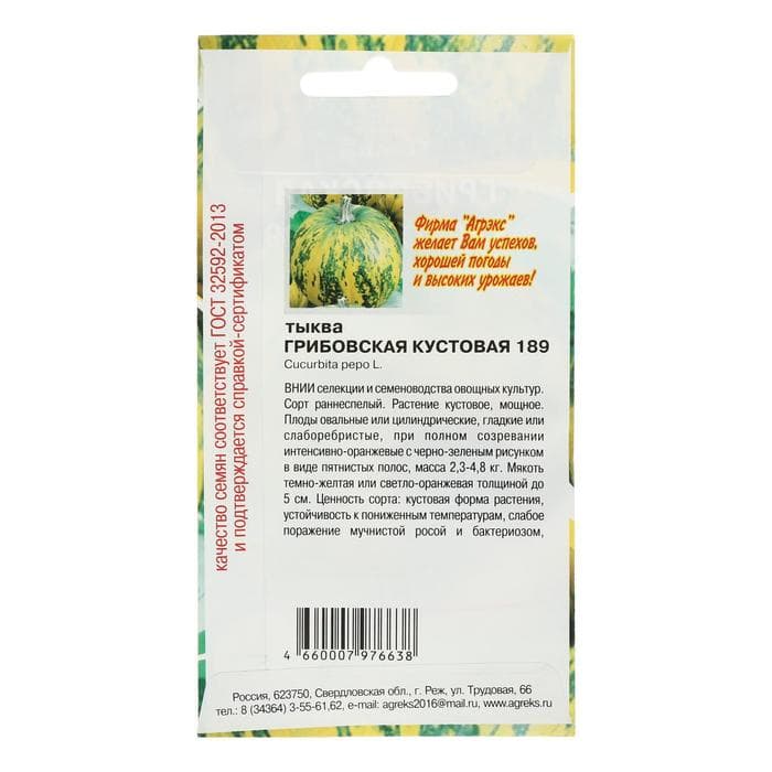 Семена Тыква «Грибовская кустовая 189», 5 шт., «АГРЭКС»