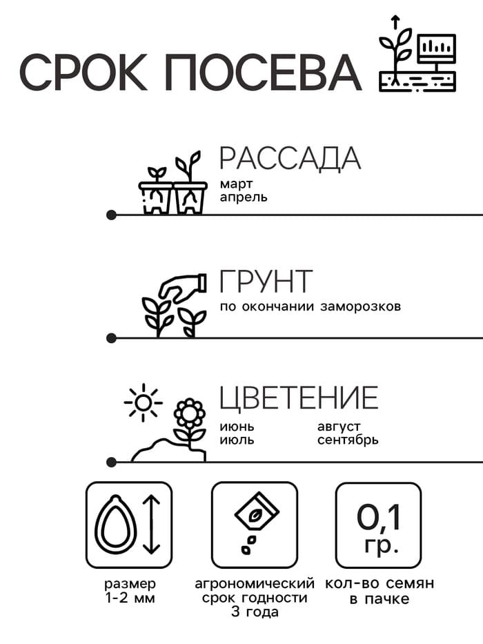 Семена цветов однолетние Бальзамин «Том Самб» 0.1 г