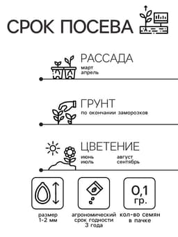 Семена цветов однолетние Бальзамин «Том Самб» 0.1 г