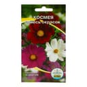 Семена цветов однолетние «Космея смесь» 0.2