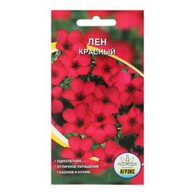 Семена цветов Лен Красный, однолетник, 0.2 г
