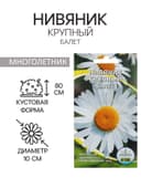 Семена цветов Нивянник, многолетний, белый 0,1 г