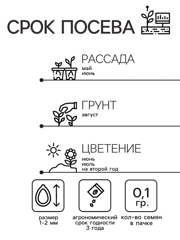 Семена цветов Нивянник, многолетний, белый 0,1 г