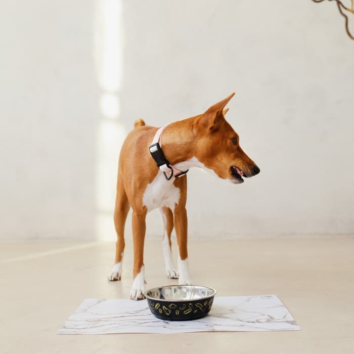 Коврик под миску «Камень», 43×28 см