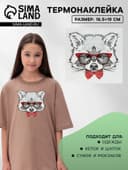 Термонаклейка «Енот в очках», 16.5×19 см