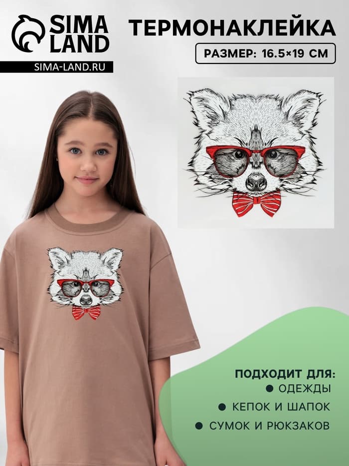 Термонаклейка «Енот в очках», 16.5×19 см
