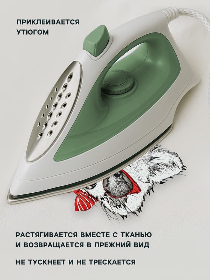 Термонаклейка «Енот в очках», 16.5×19 см